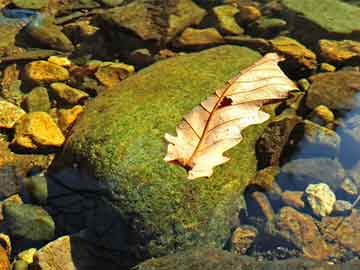 揭秘澳門最精準(zhǔn)一碼，揭秘真相，掌握勝算之匙，澳門一碼揭秘，掌握勝算秘訣，揭秘真相之門