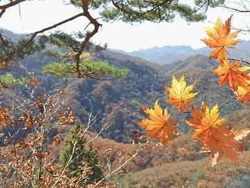 永春一日游必去景點(diǎn)攻略，永春一日游必打卡景點(diǎn)攻略