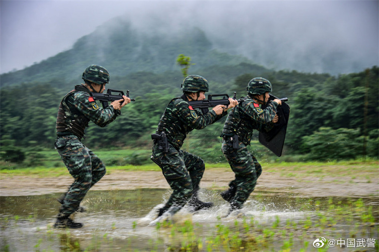 中國武警訓(xùn)練視頻，深度解析與探討，中國武警訓(xùn)練視頻深度剖析與探討