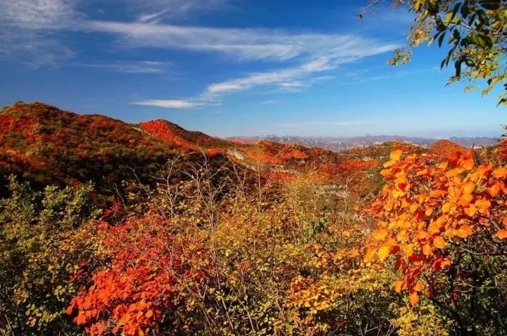 仙臺山風(fēng)景區(qū)，自然之美盡收眼底，仙臺山風(fēng)景區(qū)，自然之美的全景展現(xiàn)