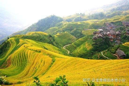 桂林龍脊梯田門票攻略，如何輕松獲取最佳游覽體驗(yàn)，桂林龍脊梯田門票攻略，輕松獲取最佳游覽體驗(yàn)之道