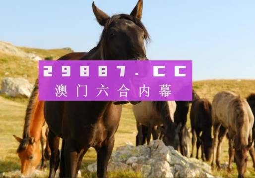 全面解讀與實(shí)用指南