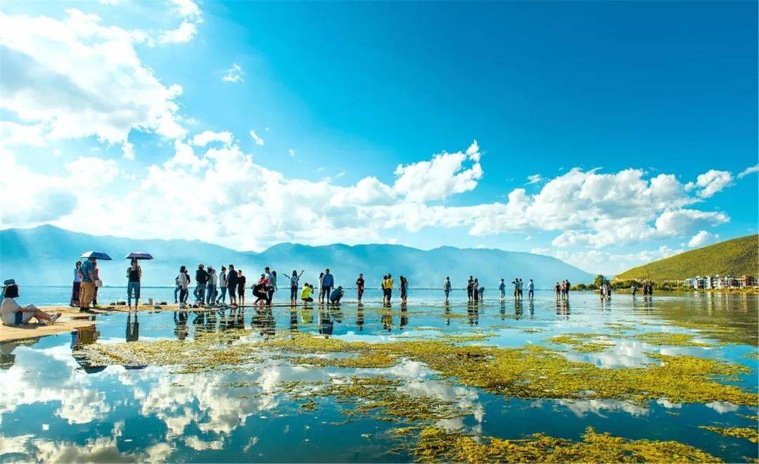 近期云南旅游團精選指南，探索美麗的云南之旅，探索云南之美，精選旅游團指南