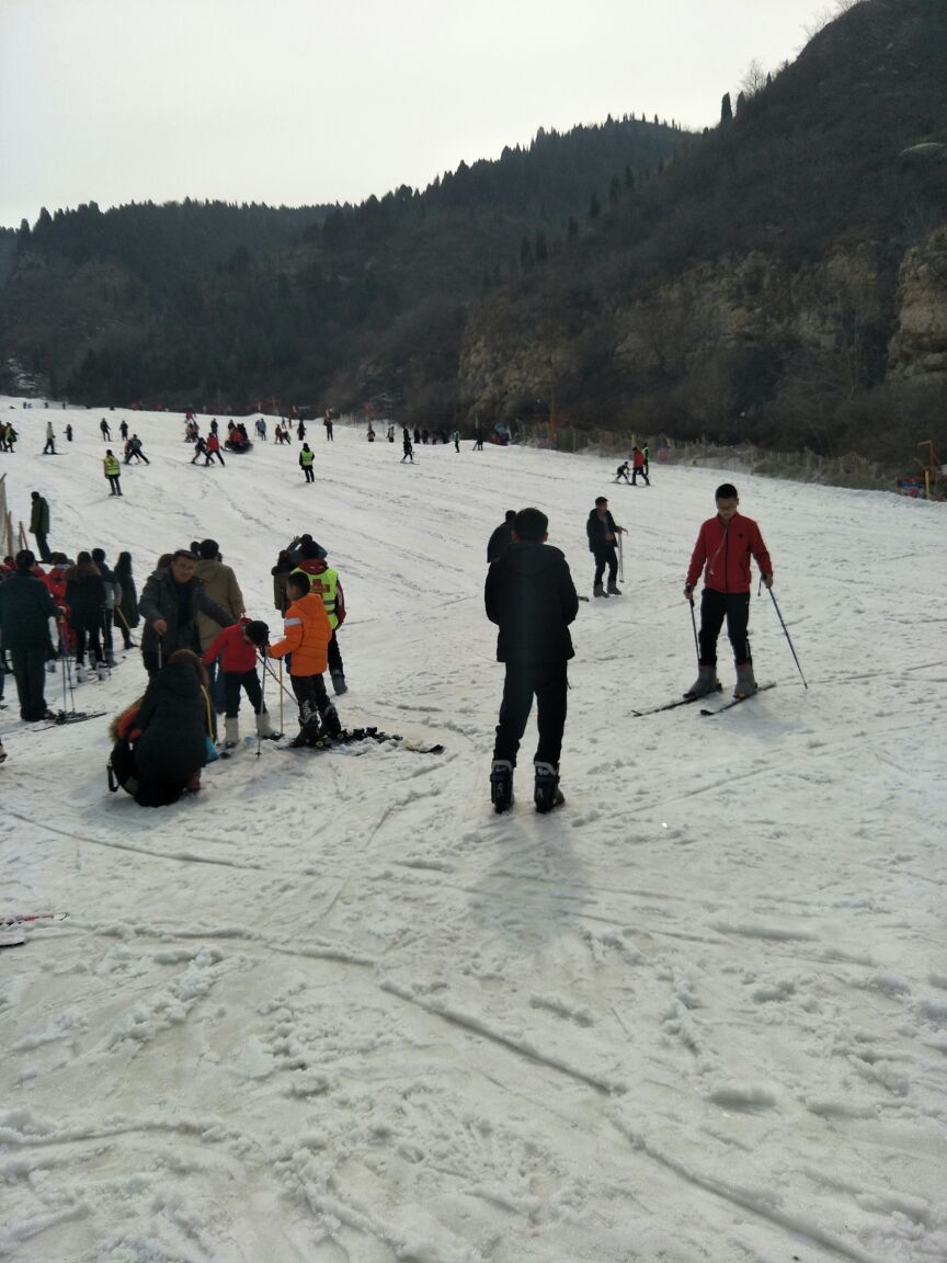 濟南金象山滑雪場門票，體驗冰雪世界的絕佳選擇，濟南金象山滑雪場門票，冰雪世界的極致體驗