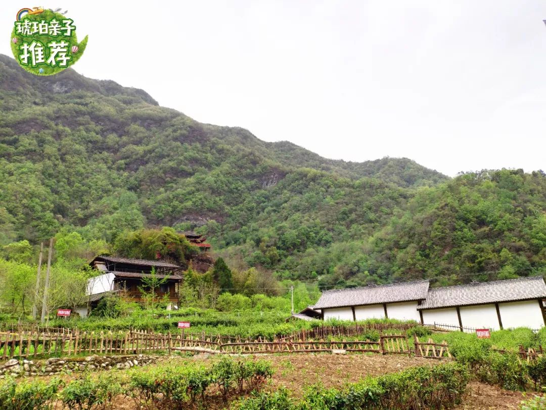 農(nóng)家樂三日游