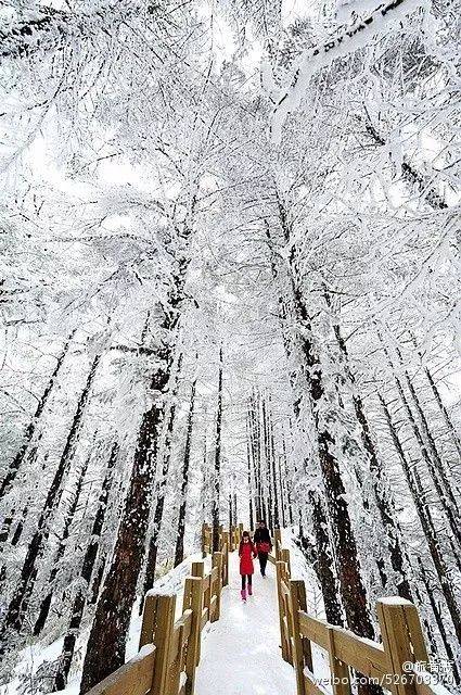 成都西嶺雪山最佳旅游時(shí)間