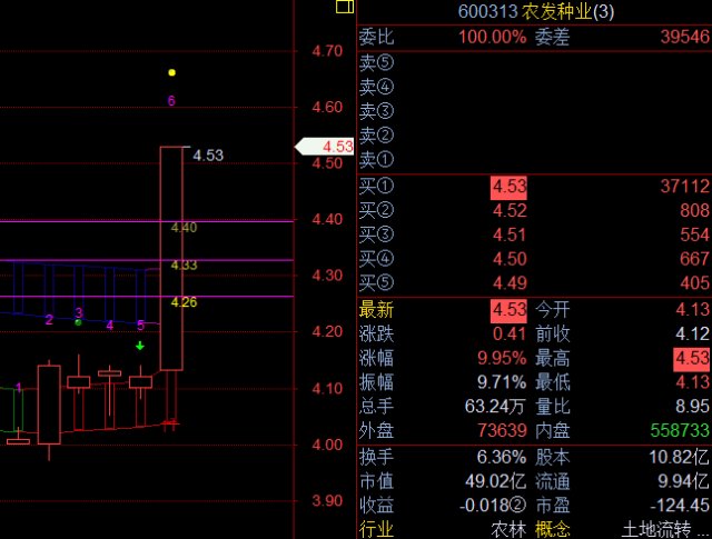 股票300536全面解析