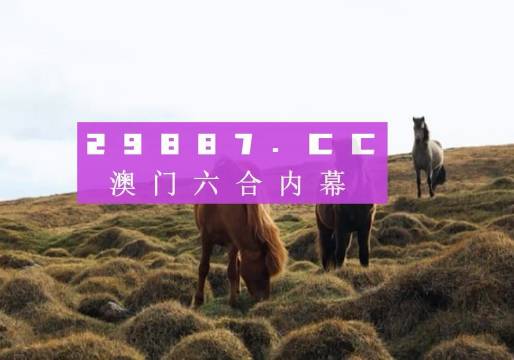 2023新澳門(mén)六開(kāi)獎(jiǎng)結(jié)果記錄