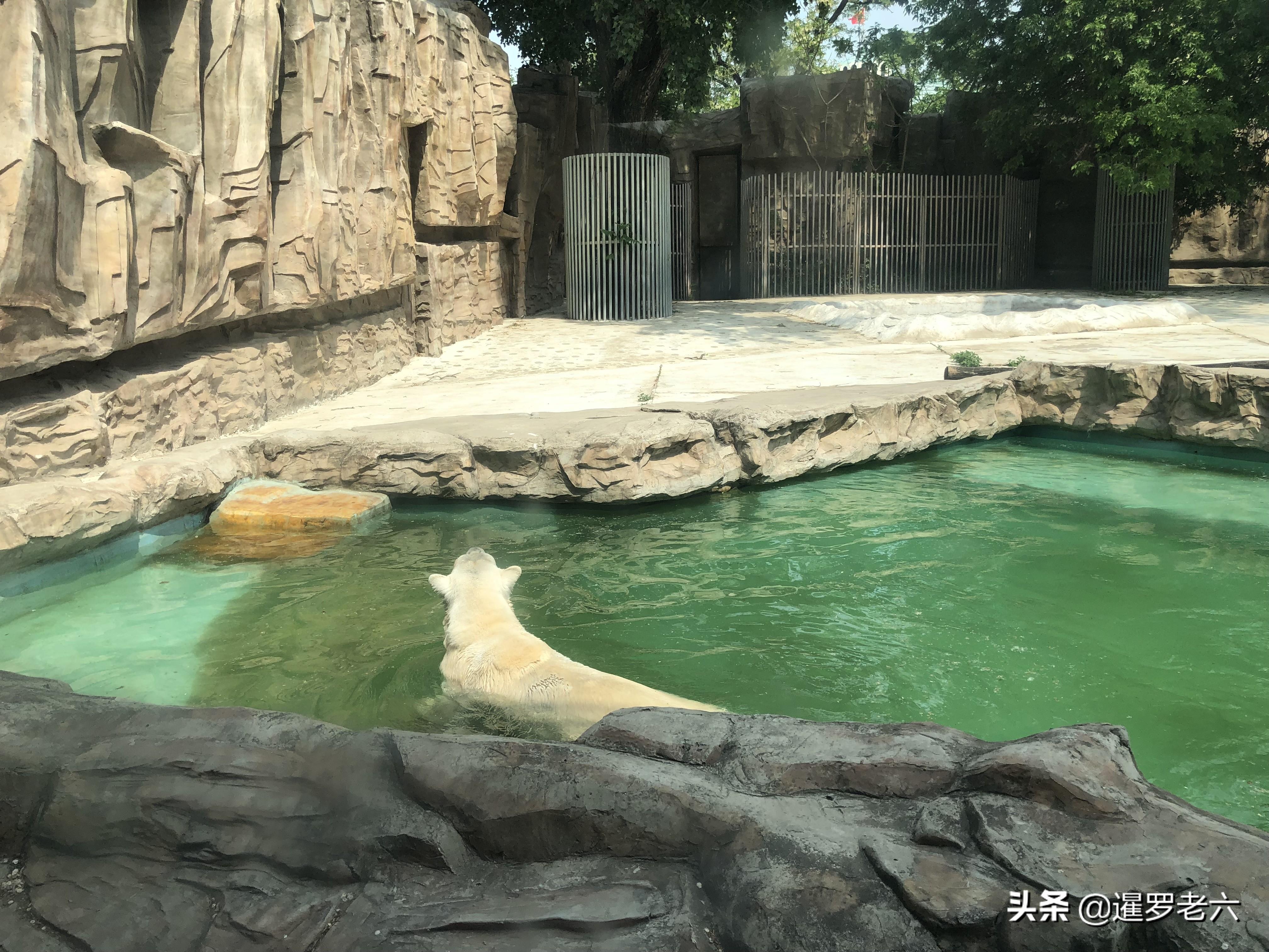 北京動物園門票