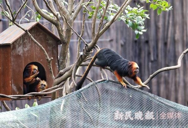 亞洲第一大野生動(dòng)物園