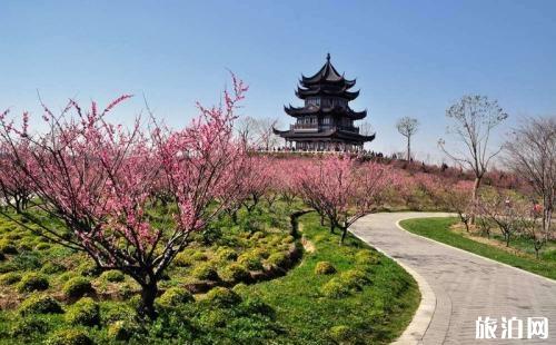 奉賢海灣森林公園門票價(jià)格詳解，奉賢海灣森林公園門票價(jià)格全解析