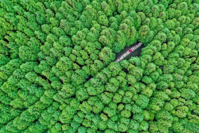 金佛山旅游攻略自駕