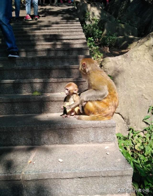 江蘇省旅游攻略必玩的景點