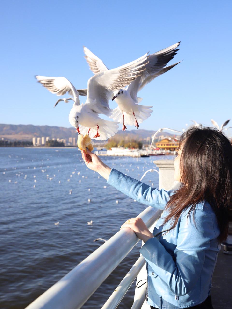 昆明旅游路線全攻略，探索春城的多彩之旅，昆明旅游全攻略，春城多彩之旅探索指南