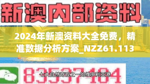 2024新澳正版資料