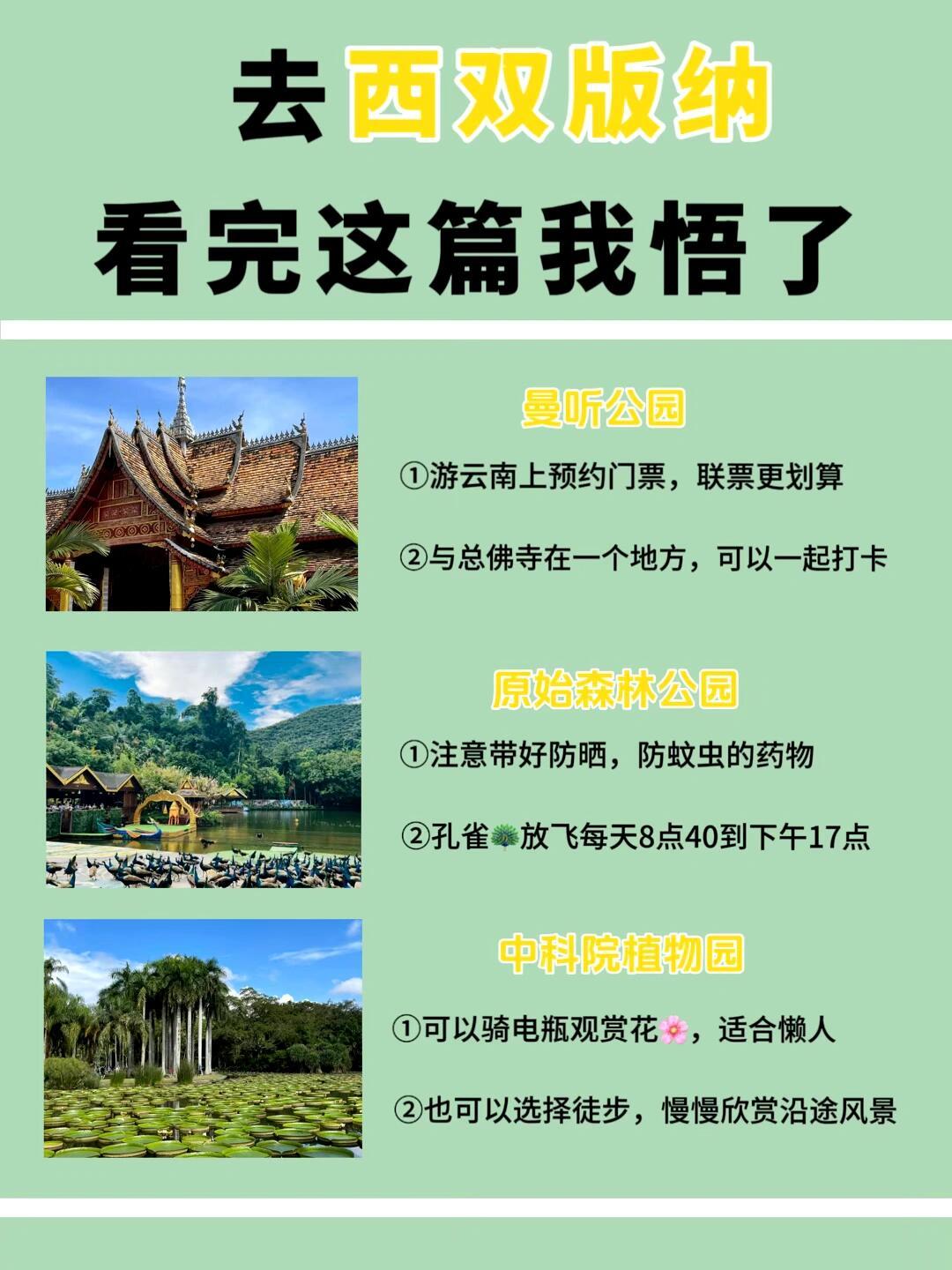 純玩西雙版納旅游攻略