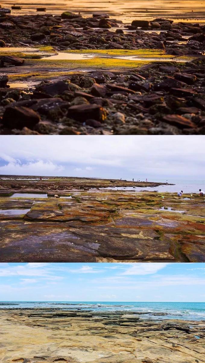 海邊浪漫與激情探索