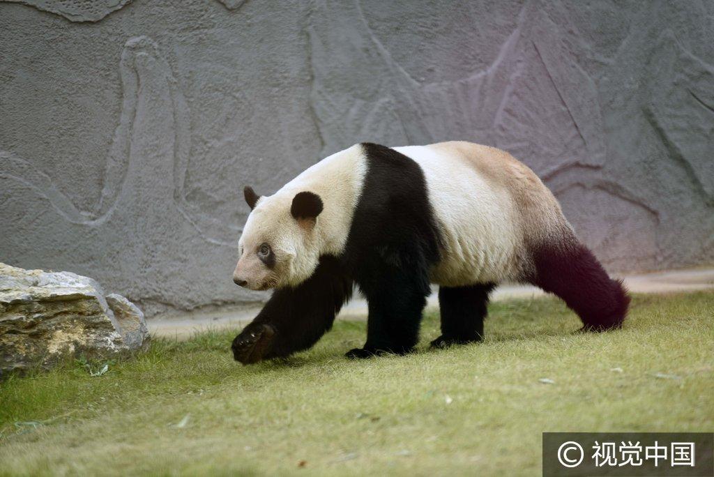 淮安動物園門票價格詳解，淮安動物園門票價格全面解析