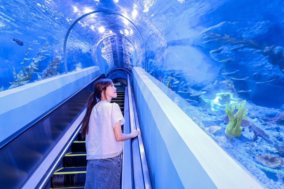 廣州天河海洋館門票價格詳解及更多信息，廣州天河海洋館門票價格全解析及更多資訊