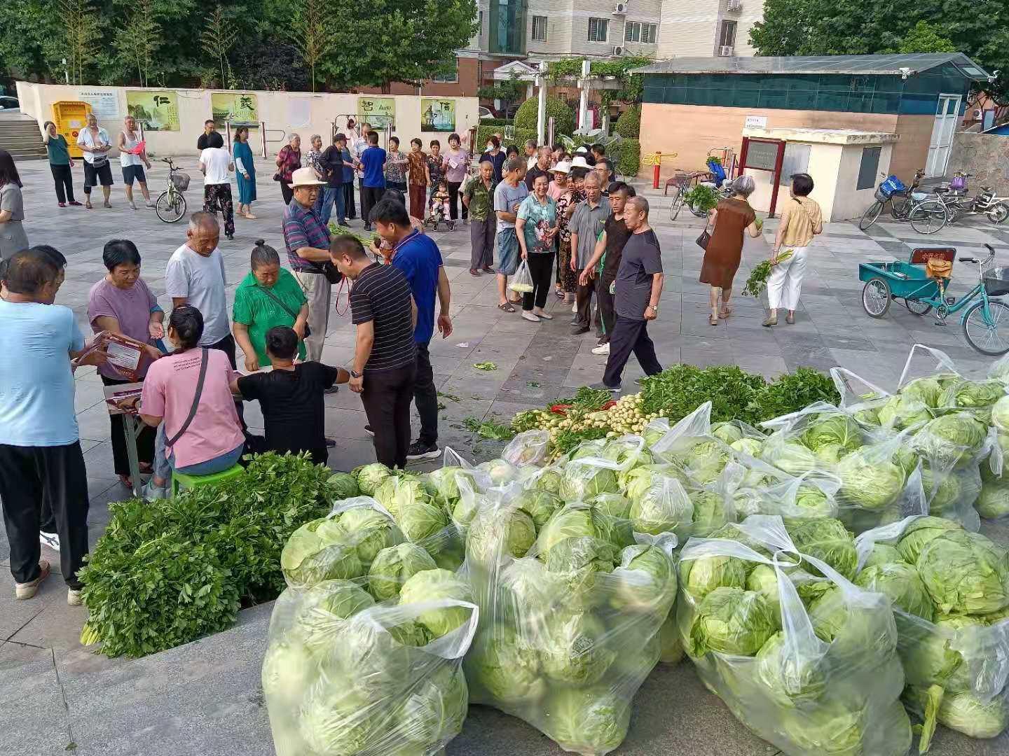 保定附近免費景區(qū)，探索美麗的自然風(fēng)光與人文景觀，保定周邊免費景區(qū)探秘，自然美景與人文奇觀的完美融合