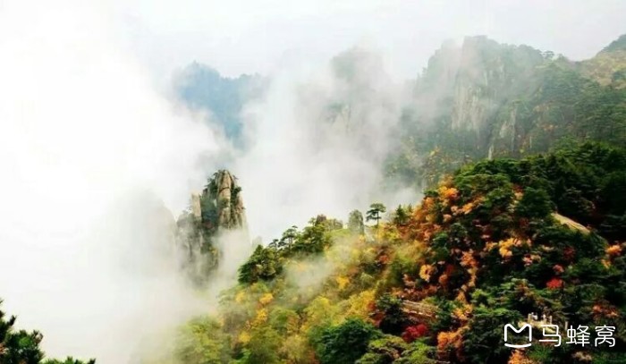 黃山一日游精彩安排指南，黃山一日游，精彩行程安排指南