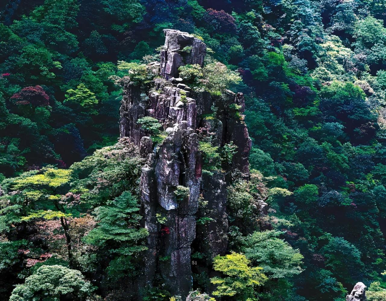 莽山溫泉度假酒店的獨特魅力與體驗，莽山溫泉度假酒店的魅力之旅與體驗分享