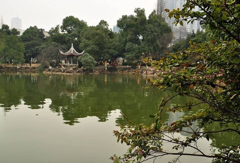 長沙免費又好玩的公園，城市綠肺，盡享自然樂趣，長沙免費公園，城市綠肺，自然樂趣盡享之地