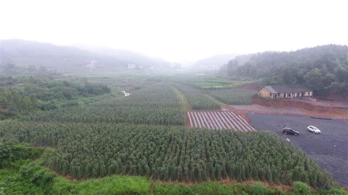 冷水灘天氣預(yù)報，掌握天氣變化，安排生活出行，冷水灘天氣預(yù)報，掌握天氣變化，輕松安排生活出行計劃